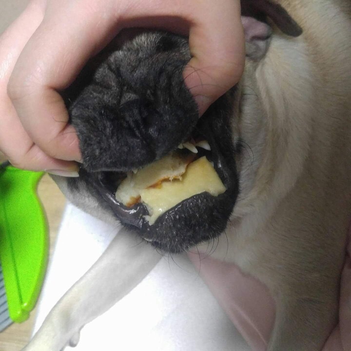 명절 대참사.jpg3