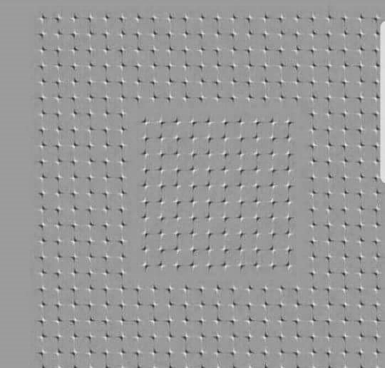 스트레스 높을수록 흔들리는 그림1