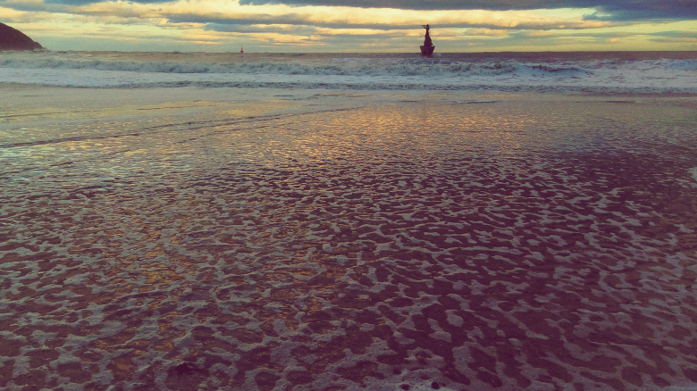 현재 부산 상황2