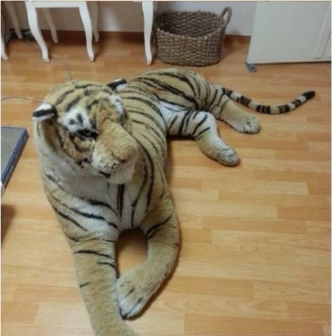 중고나라 인형 판매 사유2