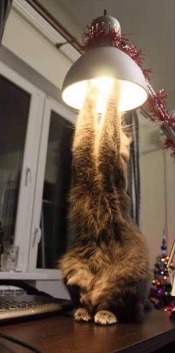 우주선 발사 장면.jpg2