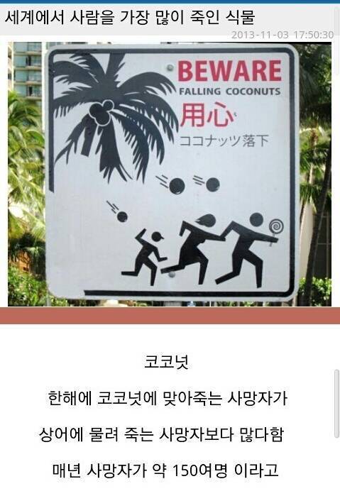 세계에서 사람 가장 많이 죽인 식물이라는데용..1