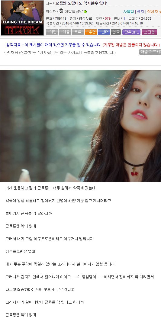 귀여운 약사를 만난 루리웹 유저2