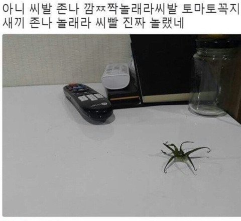 아무말 대잔치3