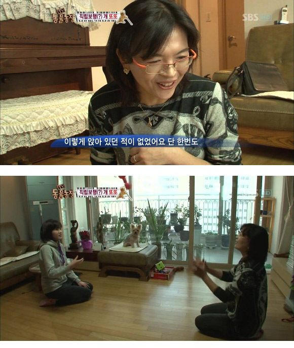 반려견 교정 레전드급 (스압)15