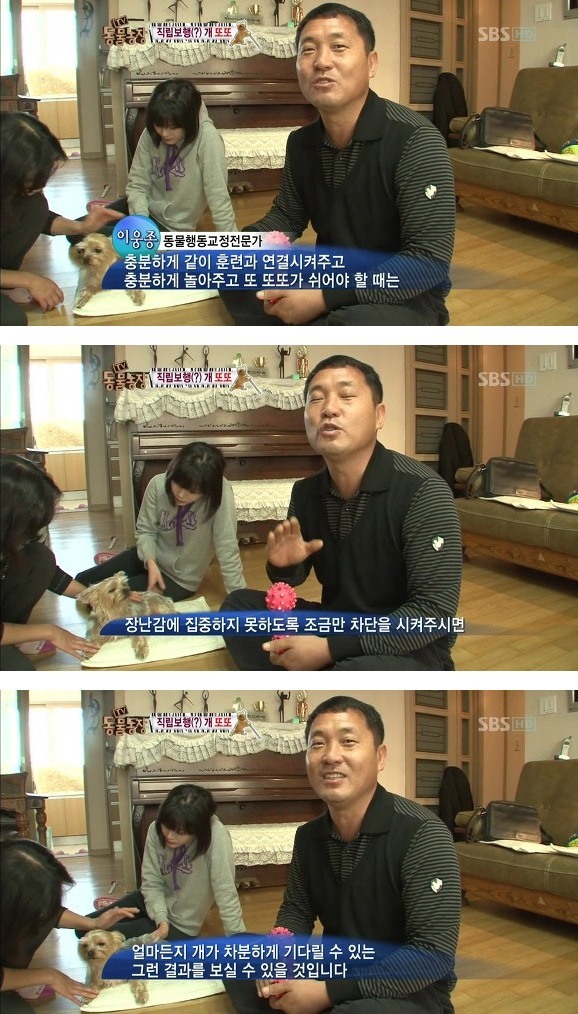 반려견 교정 레전드급 (스압)16