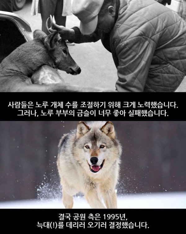 생태계 균형의 중요성.jpg2