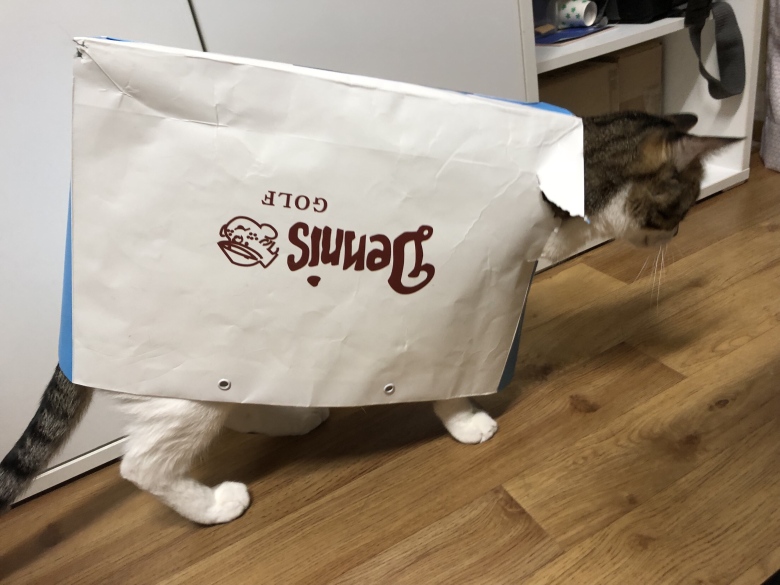 친구집 똥멍청이 냥이 jpg2