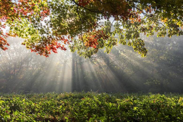 선운사 도솔천과 공주 송곡지.jpg1