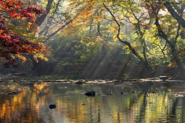 선운사 도솔천과 공주 송곡지.jpg2