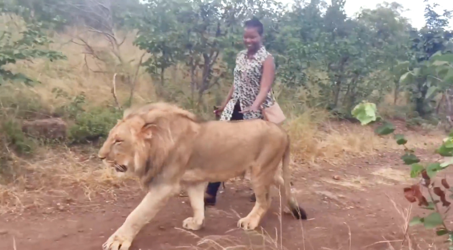 아줌마. 목줄 좀 체우고 다녀요!!1