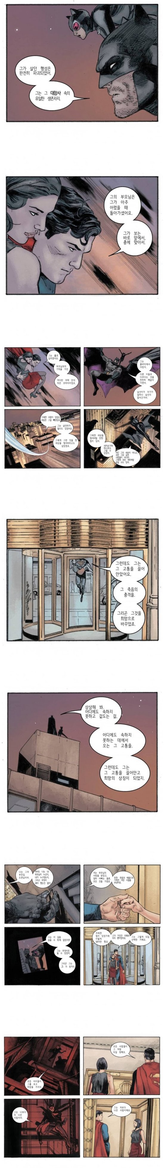 서로를 평가하는 배트맨과 슈퍼맨1