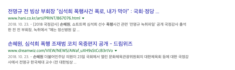 SBS 오너의 아들 윤석민(전 스키협회 회장)을 비호하기 위해서 손혜원의원 공격하나11