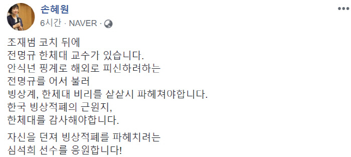 SBS 오너의 아들 윤석민(전 스키협회 회장)을 비호하기 위해서 손혜원의원 공격하나13