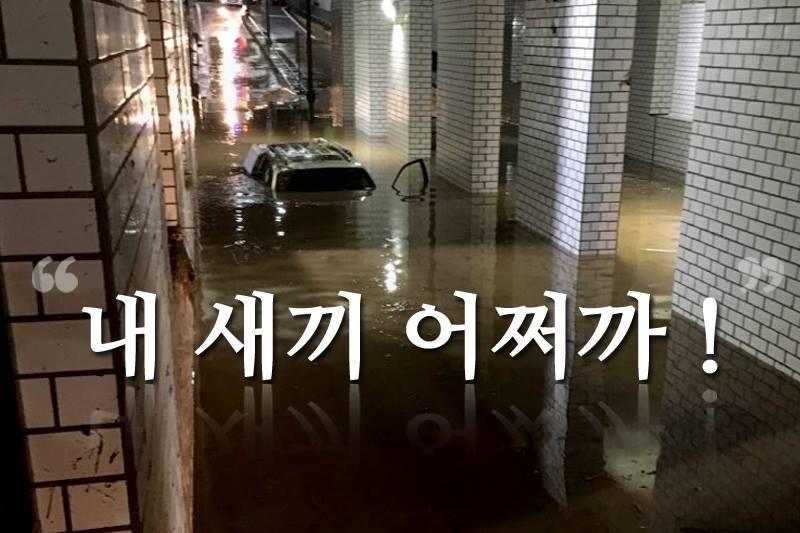 LG의인상 주인공1