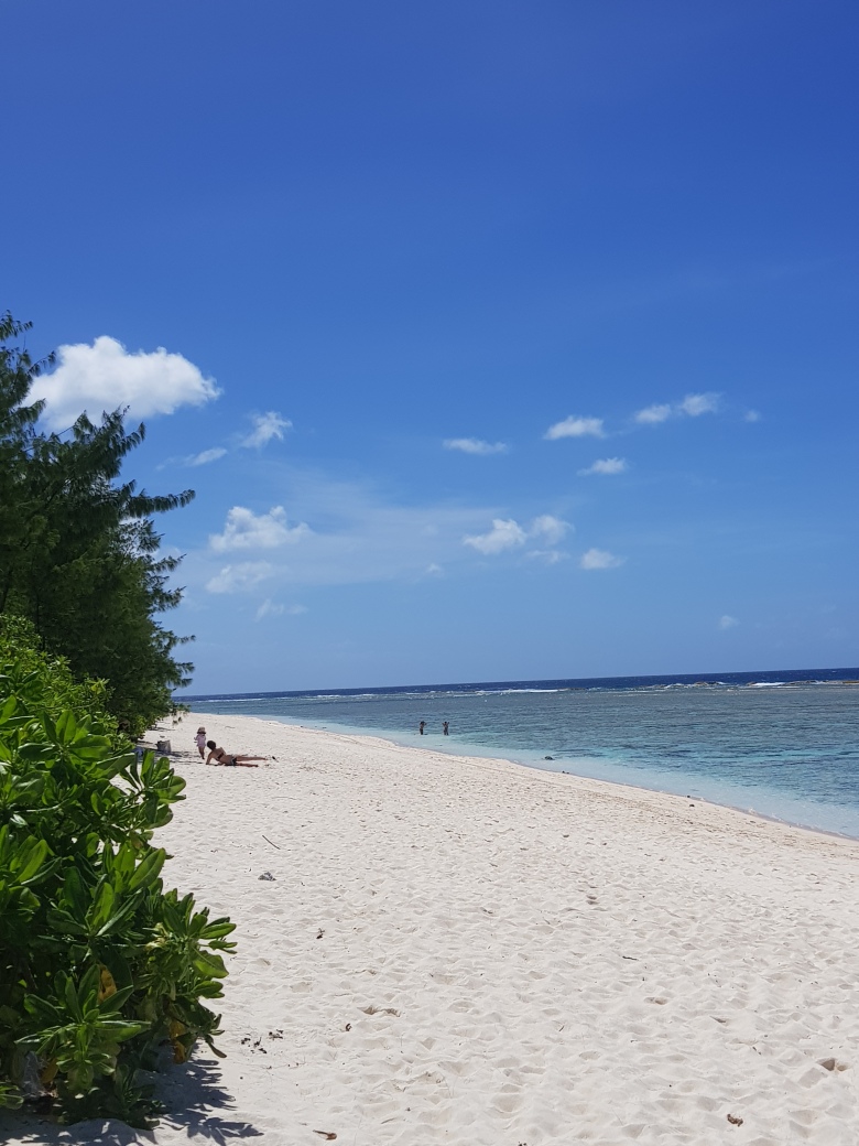 괌에서 귀국했습니다. 콜록콜록1