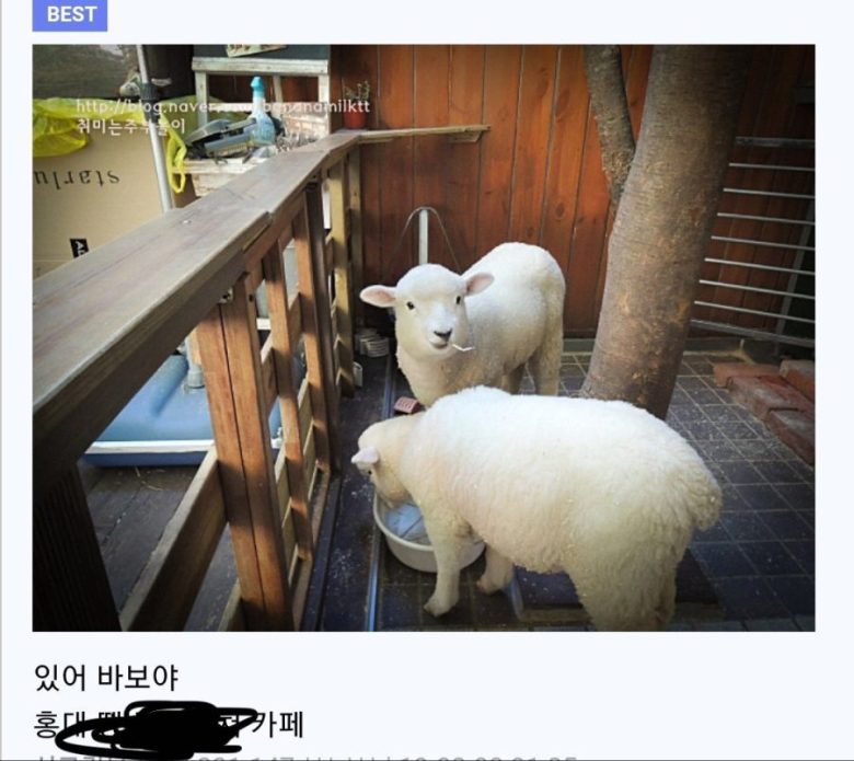 마블코믹스 놈들은 한국을 뭘로 아는거야.jpg2