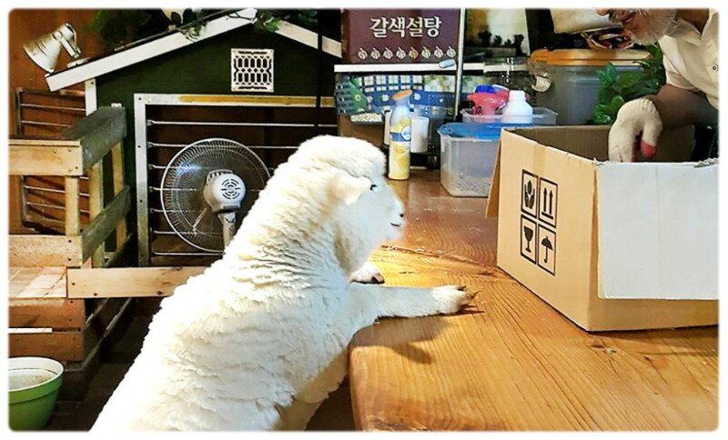 마블이 생각하는 서울모습 .jpg2