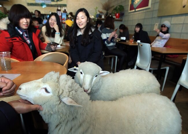 마블이 생각하는 서울모습 .jpg3