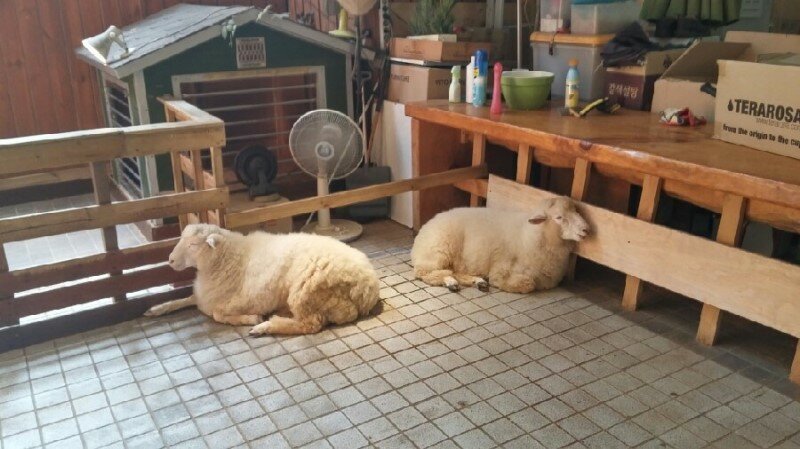 마블이 생각하는 서울모습 .jpg4