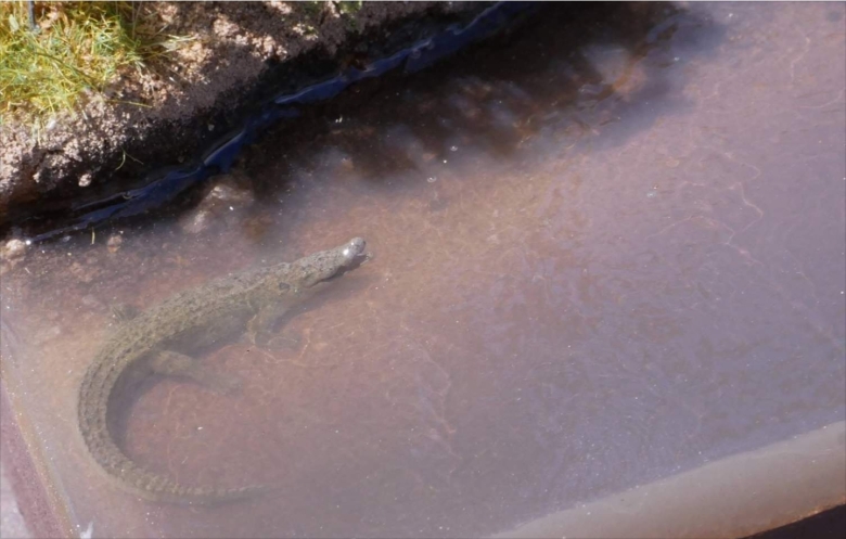 사실적인 디오라마의 세계2