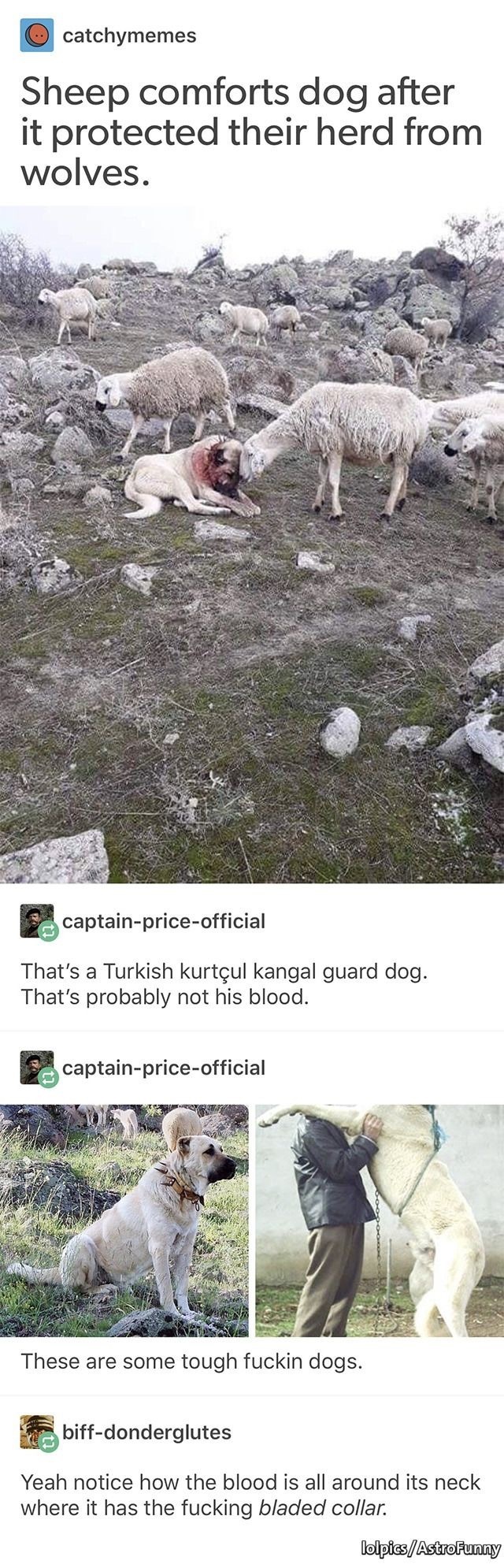 아이템의 중요성.jpg1