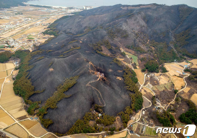 속초 산불 자국2
