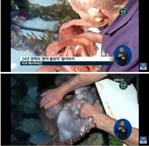 문어때문에 불륜으로 오해받았던 할아버지1