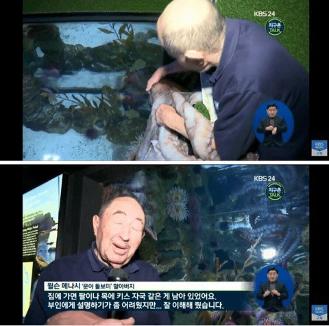 문어때문에 불륜으로 오해받았던 할아버지2