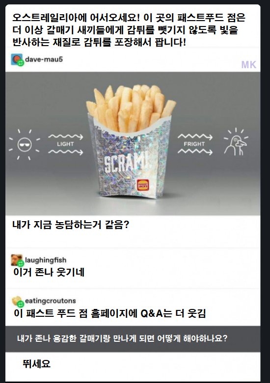 호주의 감자튀김1