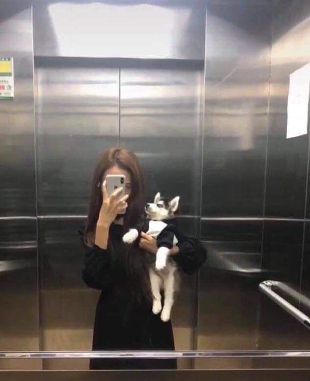 시베리안 허스키 견주.jpg1