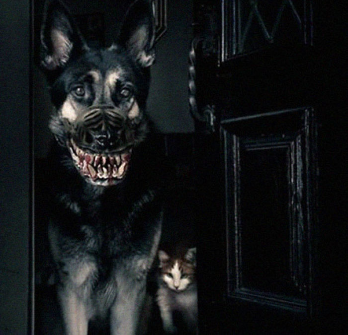 지리는 반려견 입마개.jpg4