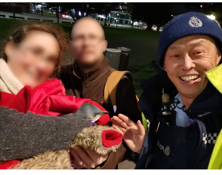 뉴질랜드, 생선초밥집에 침입한 펭귄 퇴거 소식5