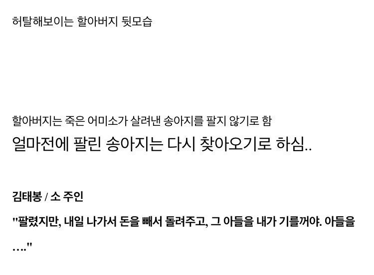 음메~ 축사 화재 알리고 세상 떠난 어미소3