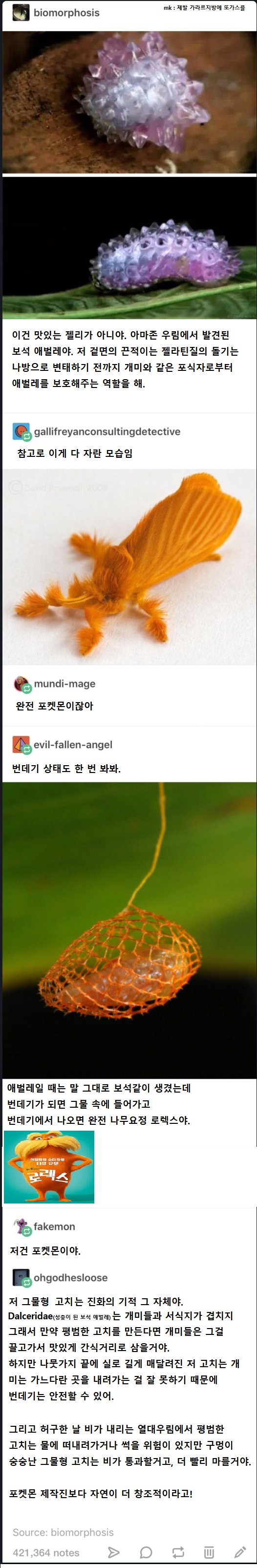 보석 애벌레의 신기한 변태 과정1