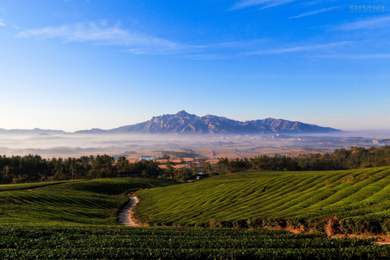 한국의 가장 이국적이고 멋있는 산 탑54