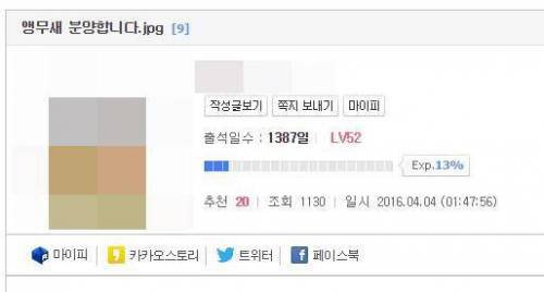 앵무새 분양합니다.jpg1