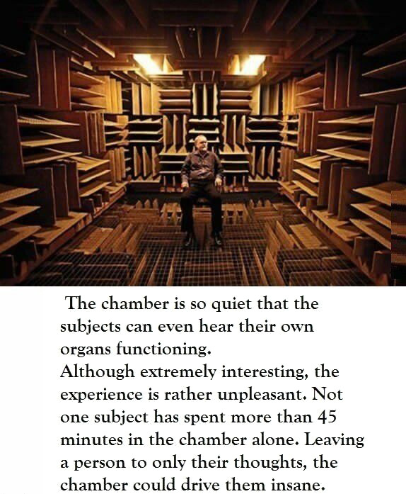 기네스북에 오른 조용한 방.jpg3