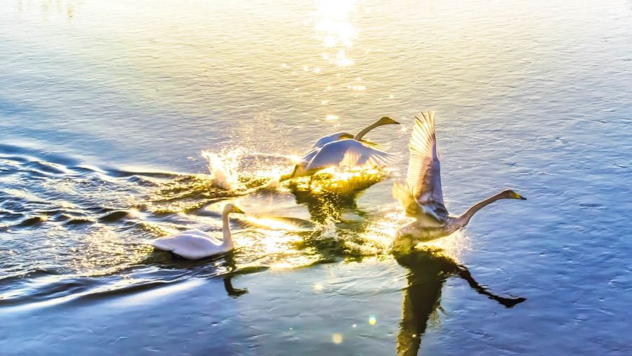 어느 사진작가의 인생샷1