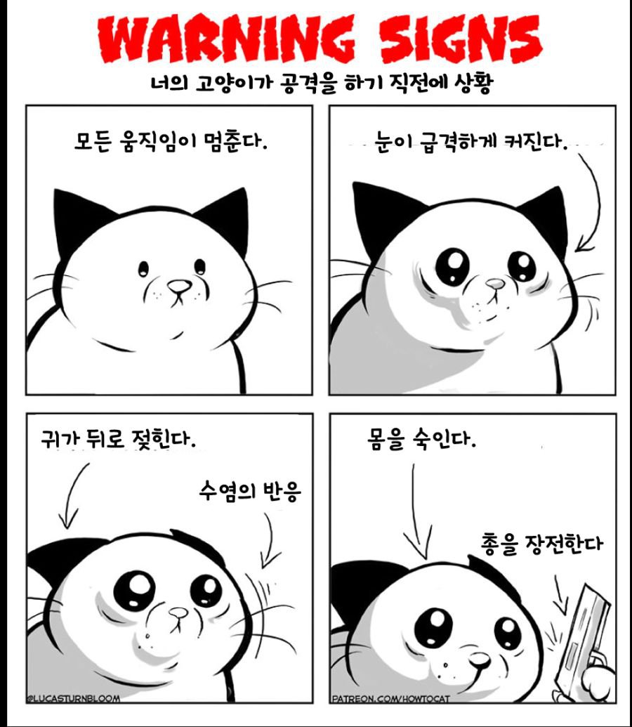 고양이의 공격 준비단계1