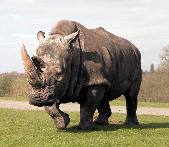 동물 유전자의 신비2