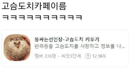 현실적인 고슴도치 키우기 카페명1