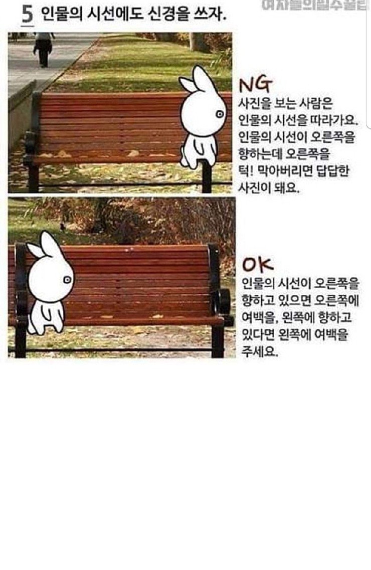 인물사진 잘 찍는 꿀팁5