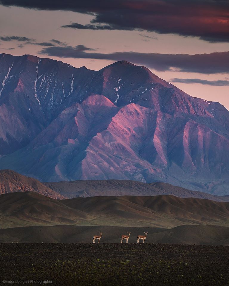 몽골 베스트 사진들(feat. 몽골 사진 작가 협회)2