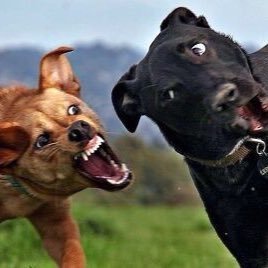 여자친구가 배가 고플 때 ㄷ ㄷ ㄷ ㅔ. jpg1