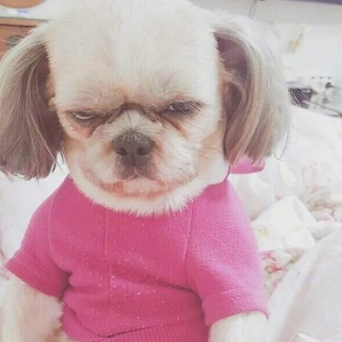 여자친구가 배가 고플 때 ㄷ ㄷ ㄷ ㅔ. jpg2