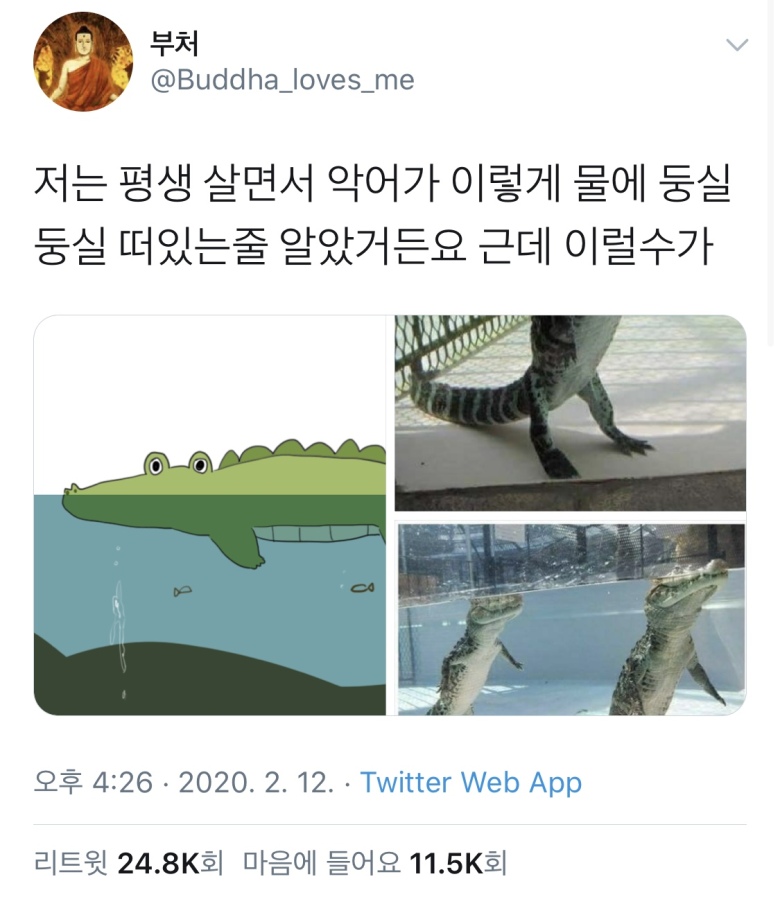 악어의 진실. 와아... 충격1