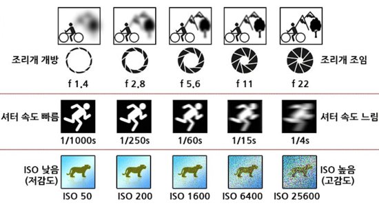 카메라 초보 꿀팁1