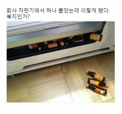 심심풀이로 볼만한 움짤들 모음 747.GIF1
