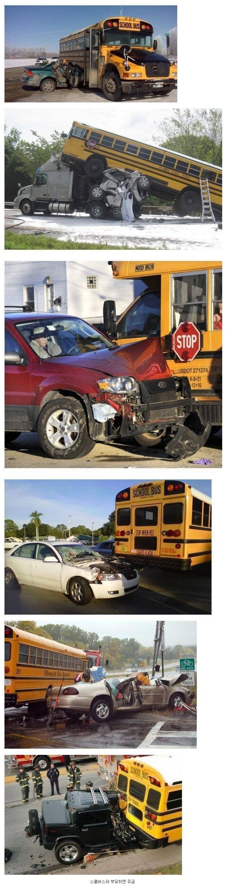 미국인들이 스쿨존 운전 조심하는 이유1